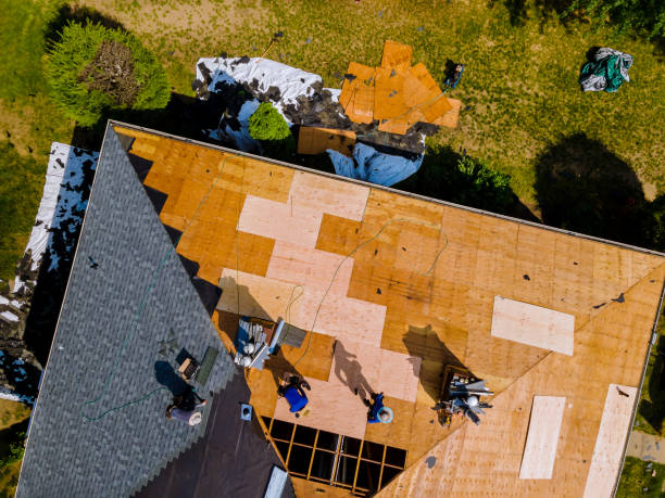 Best Roof Maintenance Services  in Kingston, WA